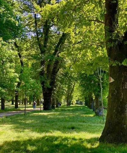 Carmen * Caldas De Reis