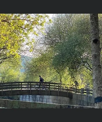 Carmen Daire Caldas De Reis